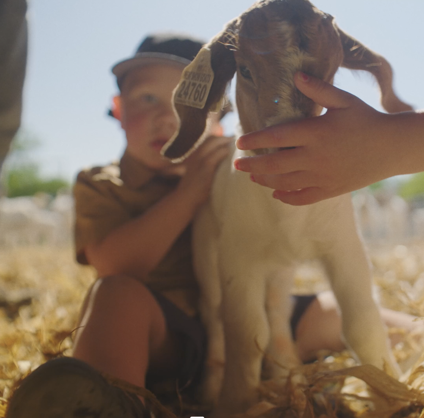 kid with a goat