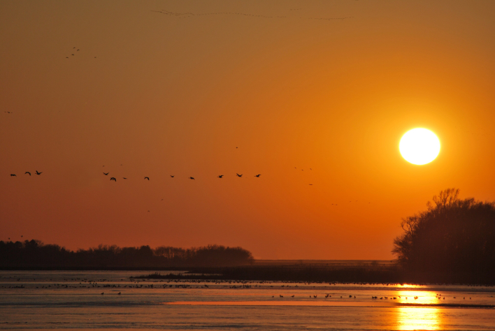 Sunset